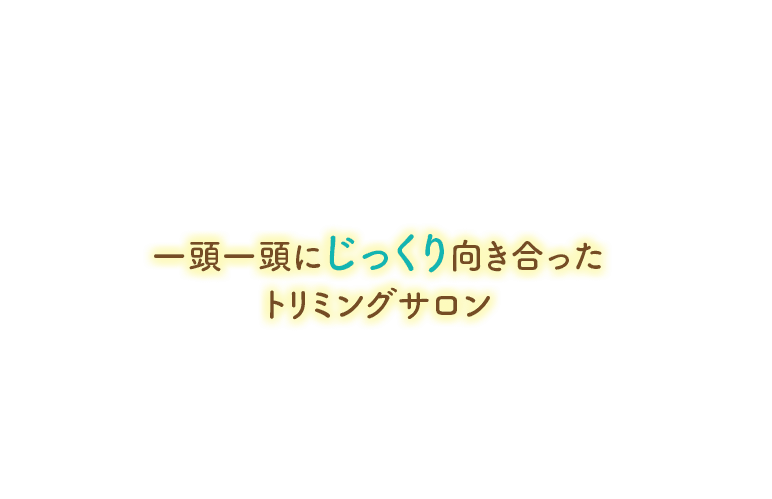 一頭一頭にじっくり向き合ったトリミングサロン