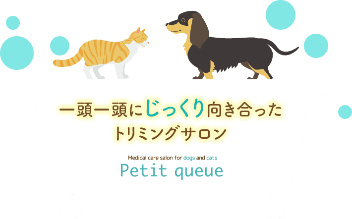 Petit Queue 枚方市長尾家具町にあるペットのためのメディカルケアサロン